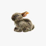 Zur Wunschliste hinzugefügt