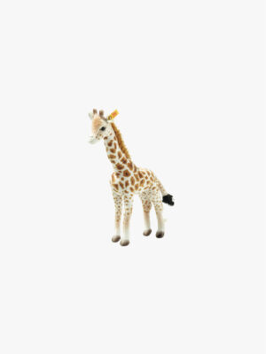 National Geographic Magda Massai Giraffe
