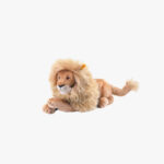 Zur Wunschliste hinzugefügt