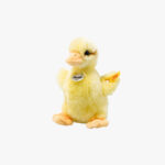 Zur Wunschliste hinzugefügt