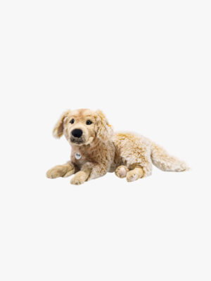 Andor Golden Retriever