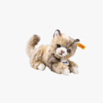 Zur Wunschliste hinzugefügt