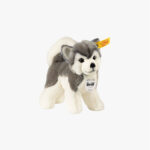 Zur Wunschliste hinzugefügt