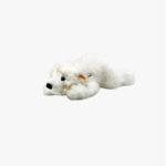 Zur Wunschliste hinzugefügt