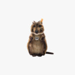 Zur Wunschliste hinzugefügt